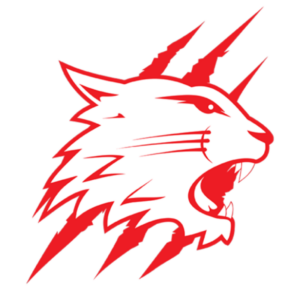 Swindon Wildcats 2